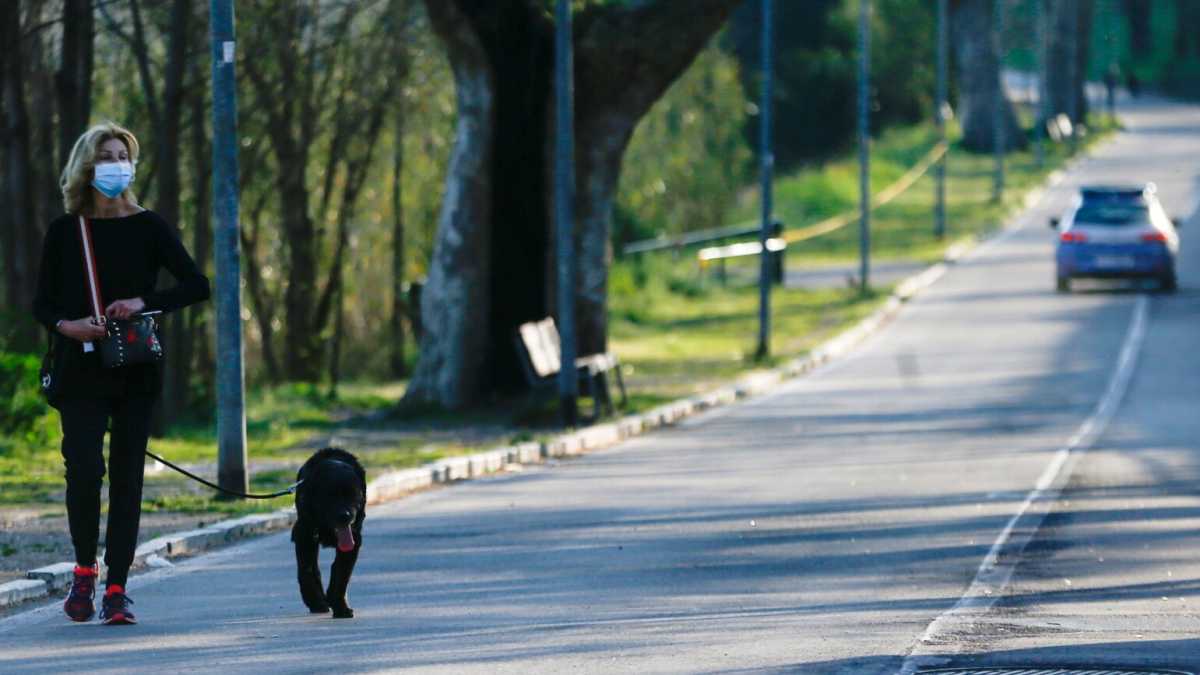 Immagine di Si può proibire tutto, o quasi, ma non la passeggiata con il cane