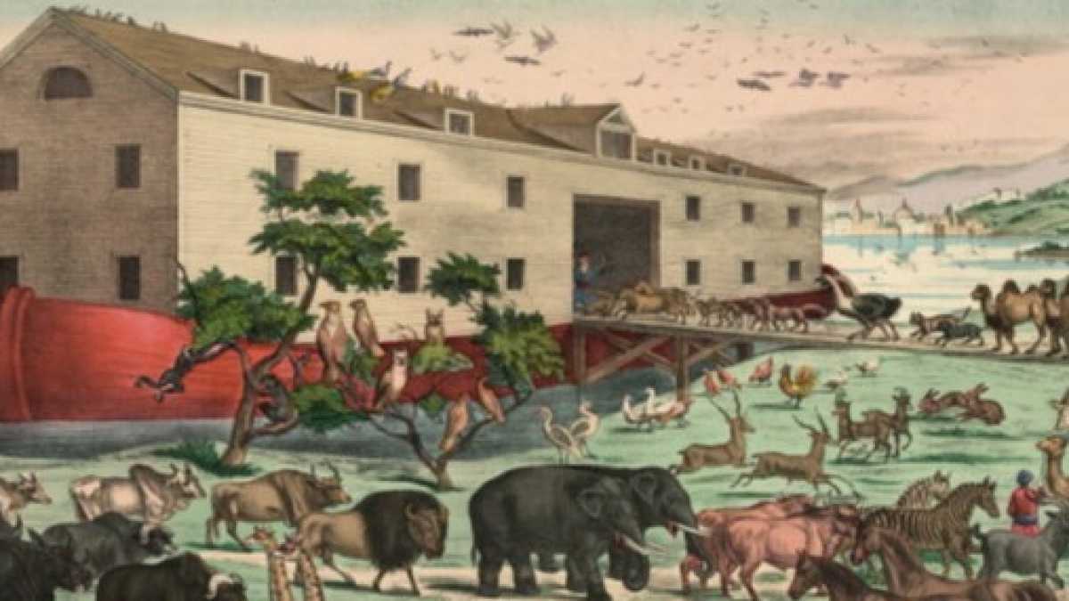 Immagine di L'arca di Noé ai giorni nostri