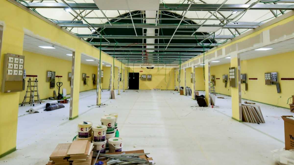 Immagine di Per combattere il coronavirus anche la solidarietà va resa più efficace