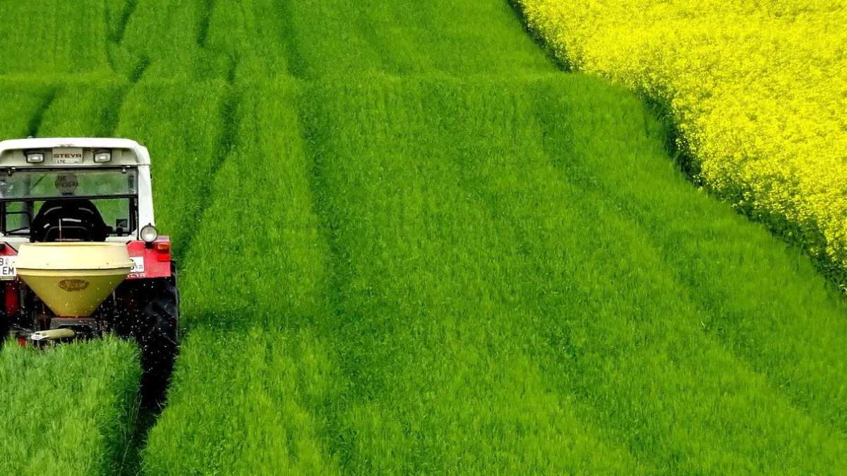 Immagine di I semi di Michele Stanca che il coronavirus non potrà cancellare