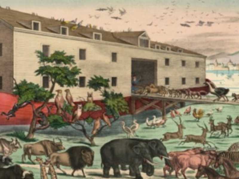 L'arca di Noé ai giorni nostri