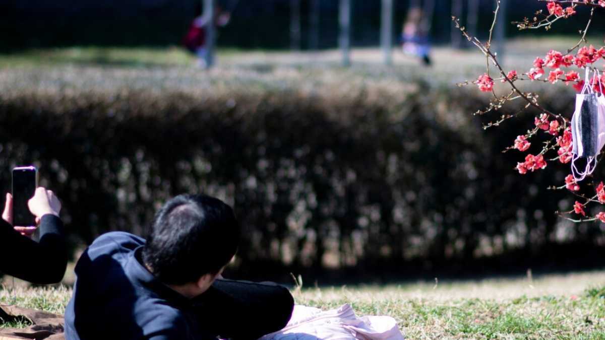 Immagine di Benedetta primavera. Storia della nostra incontenibile voglia di rinascere