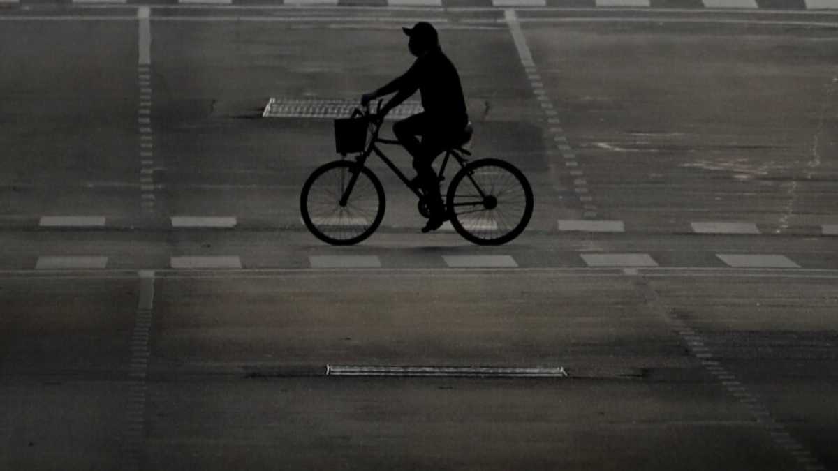 Immagine di Imparare dal virus