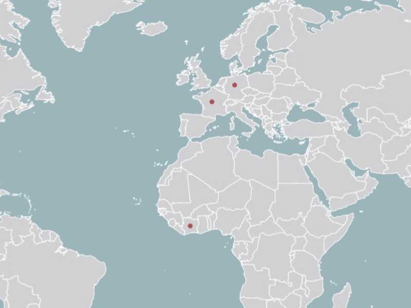 Dove si è diffuso il coronavirus. La mappa dei contagi