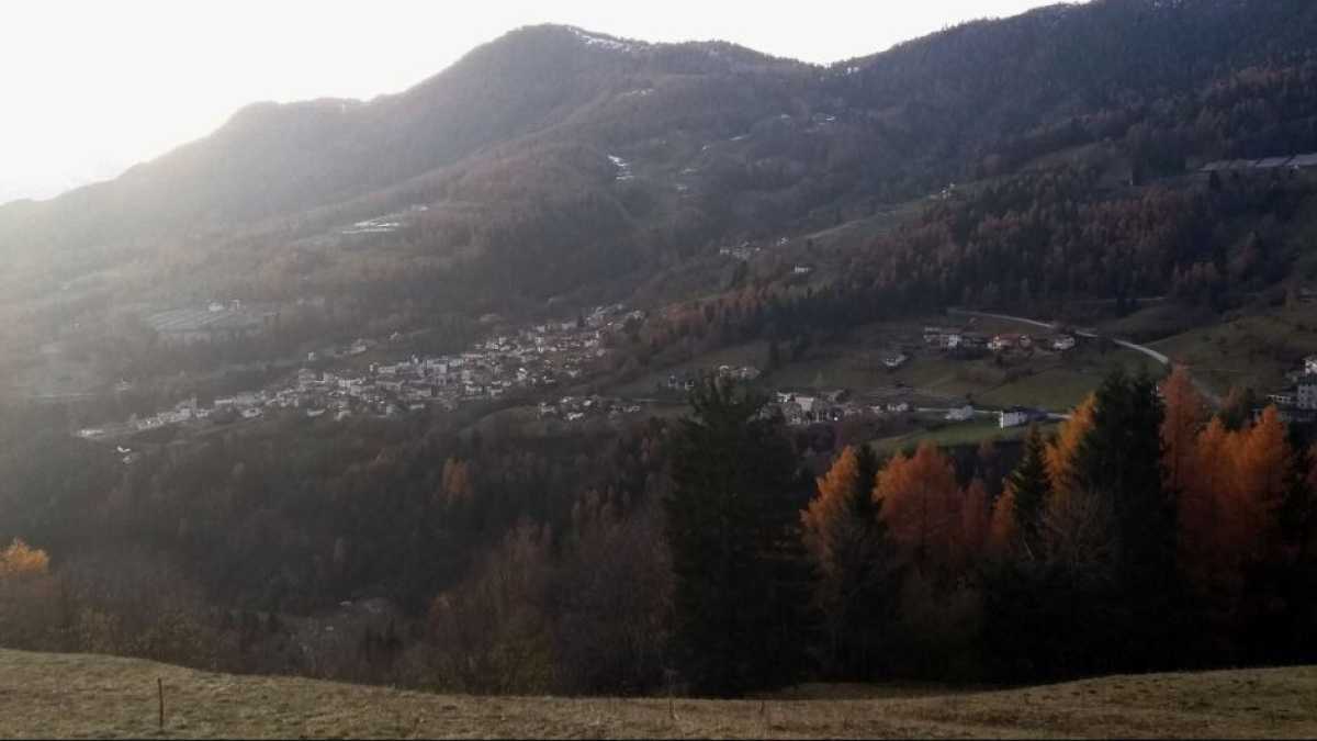 Immagine di Quel che il coronavirus non cambia tra uomo e natura