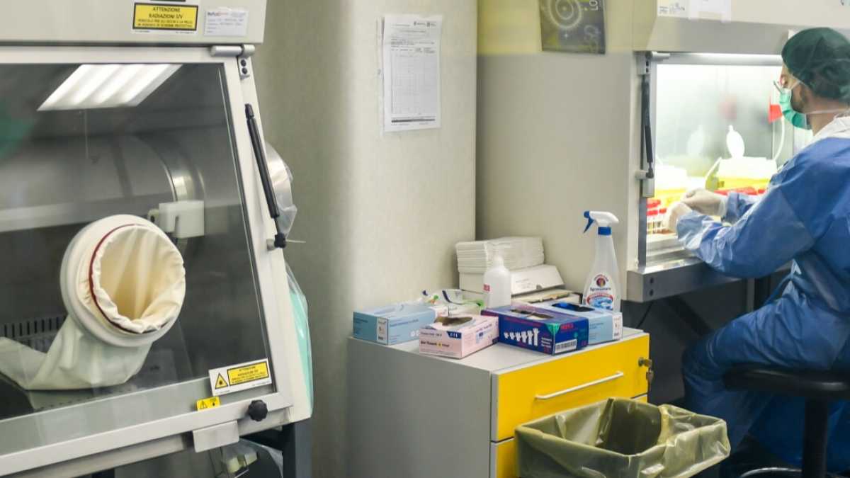 Immagine di La scienza di Whatsapp