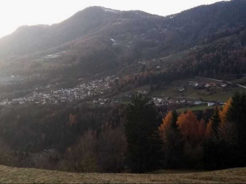 Foto tratta dalla pagina Facebook Provincia autonoma di Trento - Pagina Ufficiale