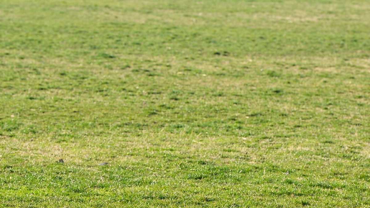 Immagine di Meglio la saggezza di certi vecchi che i filosofi incapaci di citare Epicuro