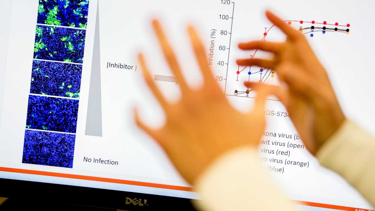 Immagine di "Il Covid-19 non ha origine umana", ci dice il prof. dello studio denunciato da Salvini e Meloni