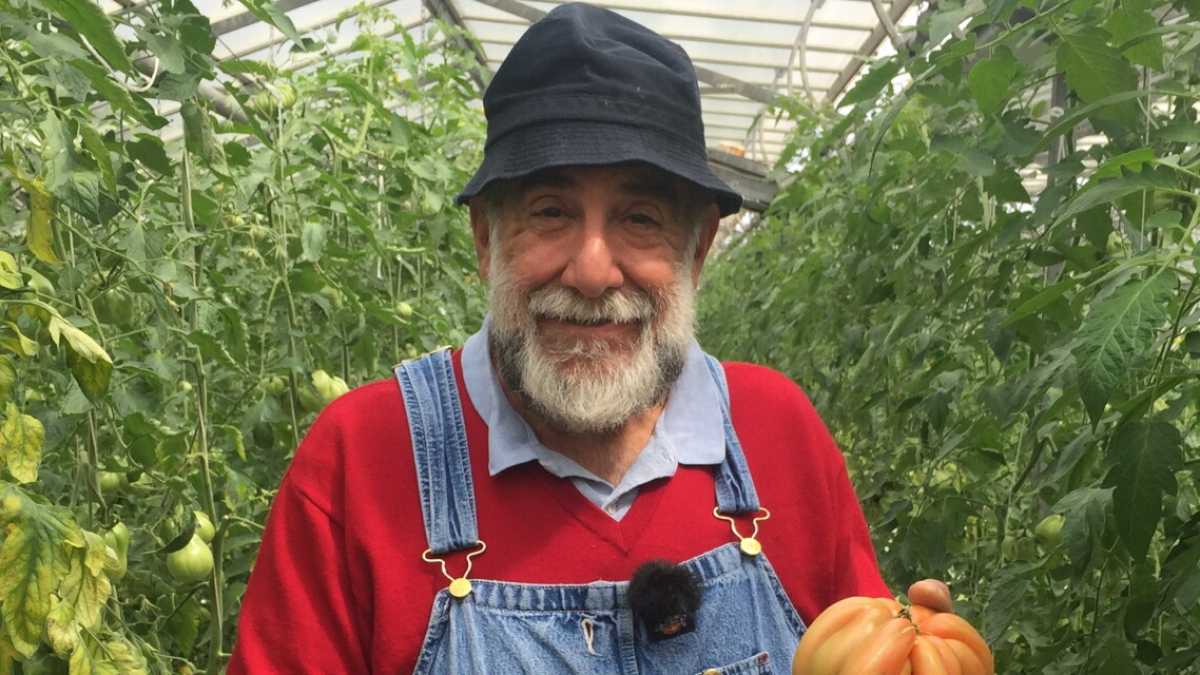 Immagine di Come creare a casa un piccolo orto prêt-à-porter