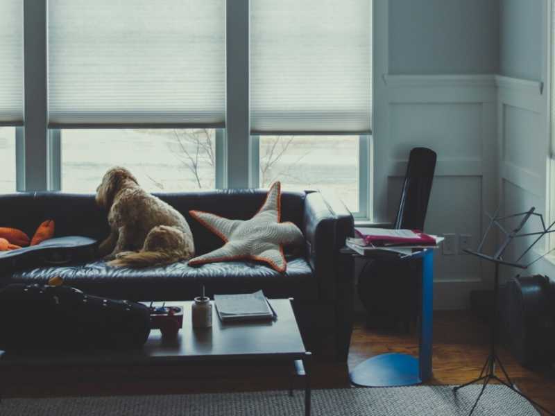(foto Unsplash)