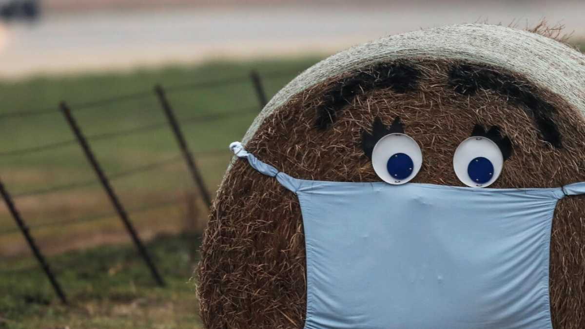 Immagine di A Pasquetta grigliate su Zoom