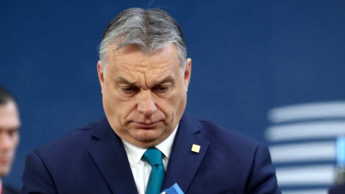 Immagine di Il caso ungherese