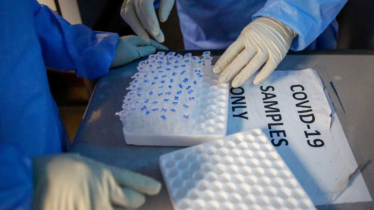 Immagine di Virus e verità graduali