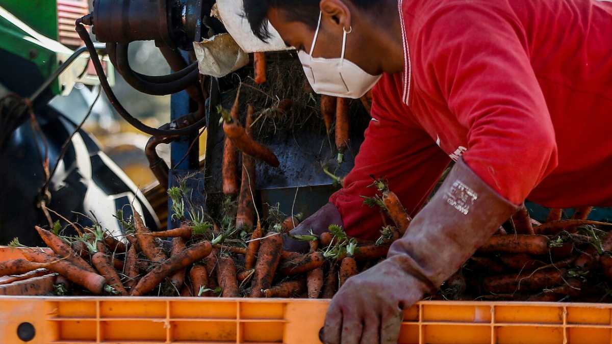 Immagine di I “clandestini” da regolarizzare per far ripartire l’economia italiana