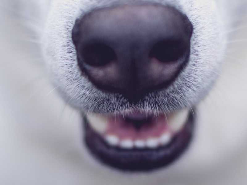 Foto di Marek Szturc via Unsplash