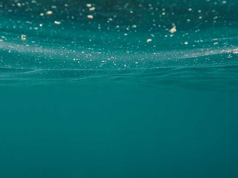 Foto di Sven Scheuermeier via Unsplash