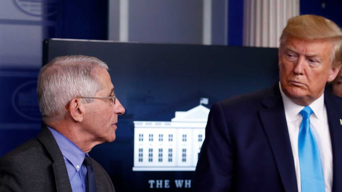 Immagine di Dr Fauci e Mr Trump