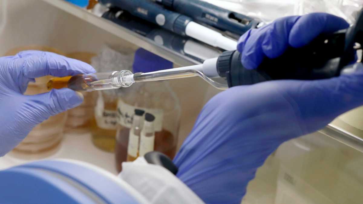 Immagine di Il vaccino di Pomezia/Oxford e le critiche al lockdown del vicino