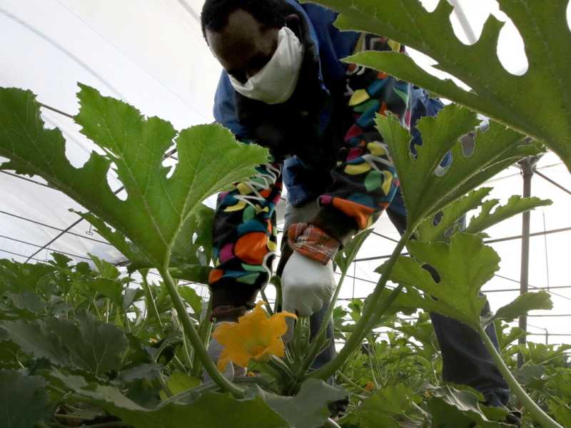 Difendere la filiera della vita. Come sarà l'agricoltura del post coronavirus?