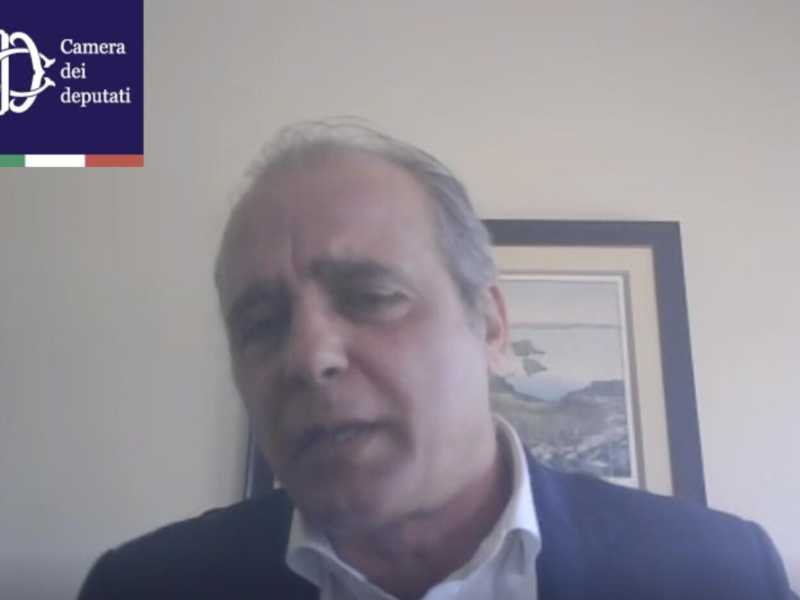 Domenico Parisi, presidente dell'Anpal durante la sua audizione in videconferenza in commissione Lavoro