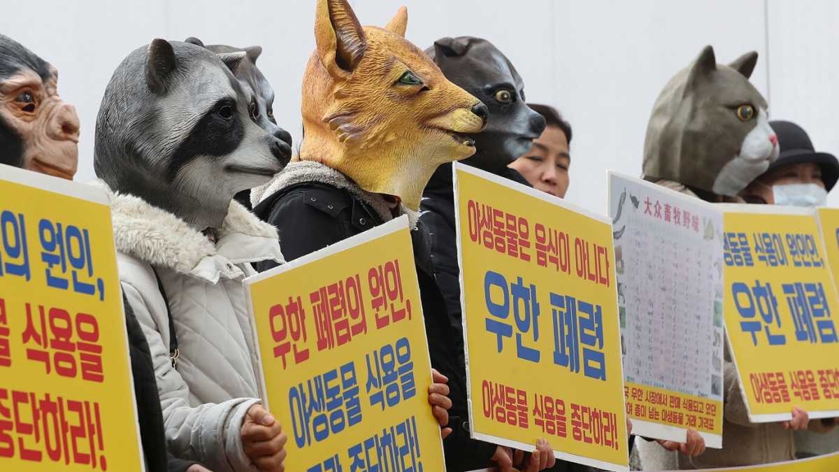 Immagine di Ciarlatani virali