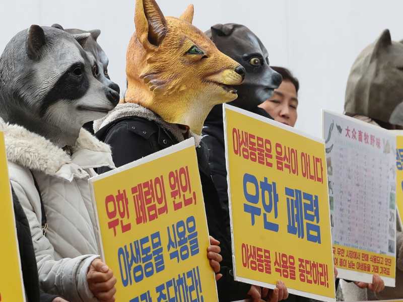 Una manifestazione animalista contro il consumo di carne proveniente da traffici illegali in Corea del sud (LaPresse)