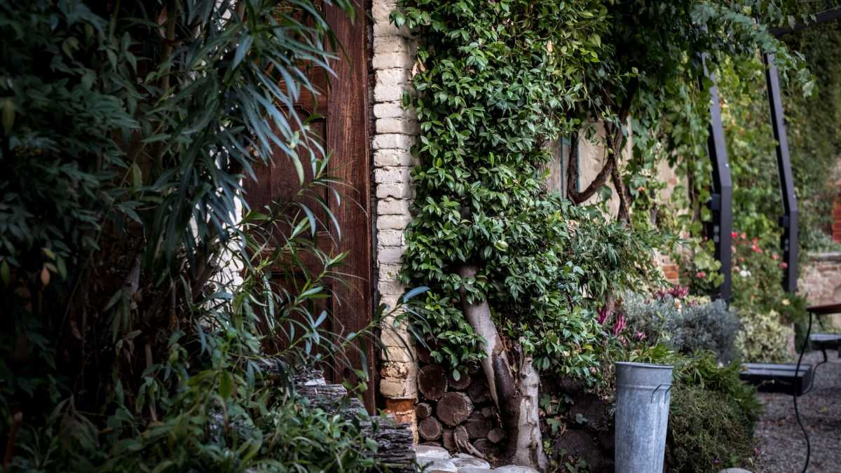 Immagine di La Bce vuole comprare il mio cortile
