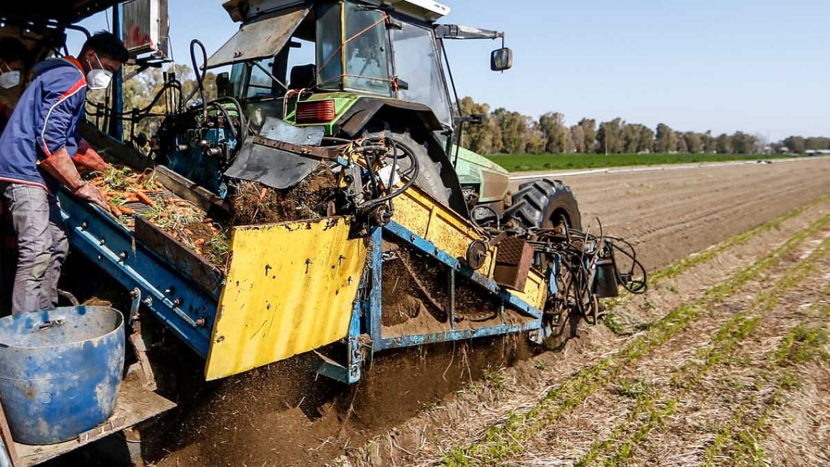 Immagine di Lasciamo ai giornaletti le immagini dei contadini sorridenti sotto le querce