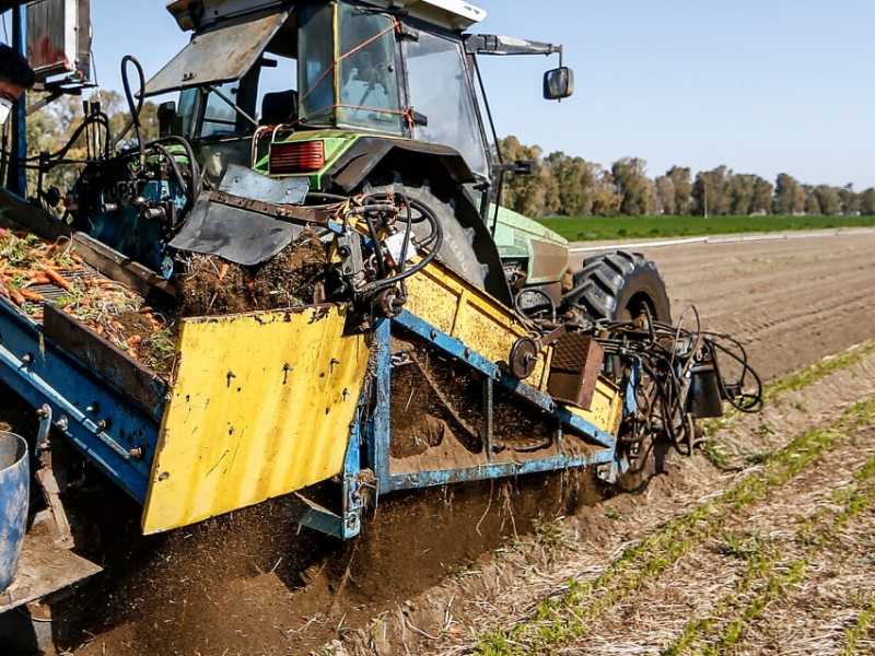 Foto LaPresse