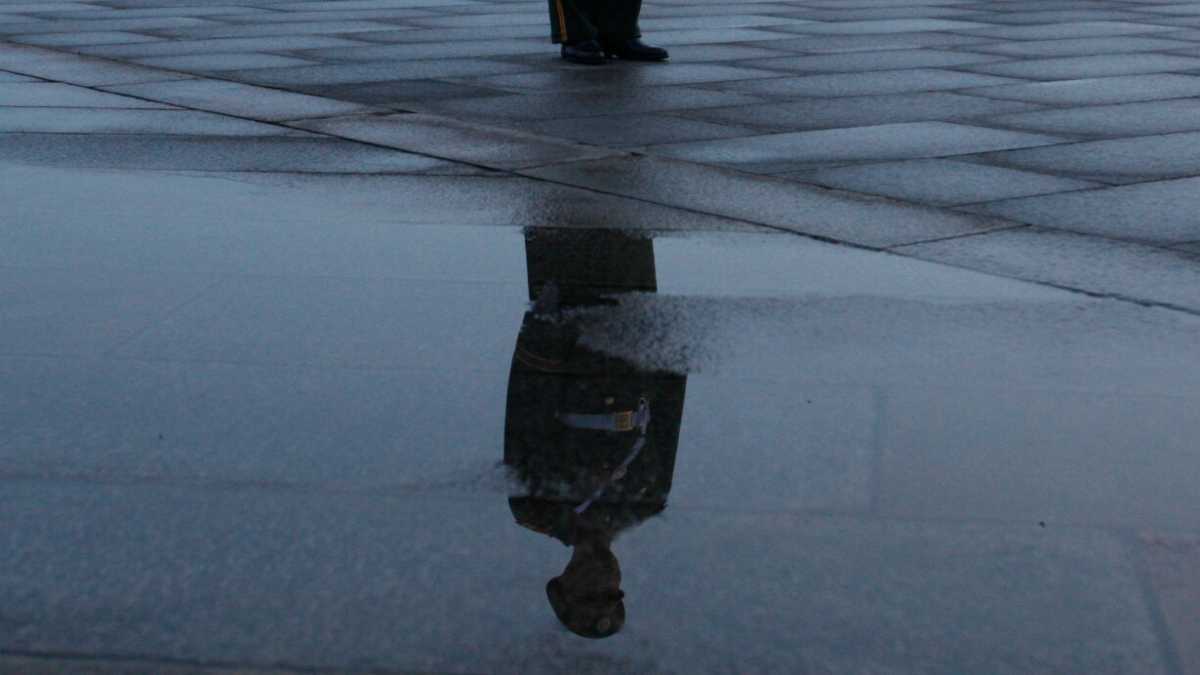 Immagine di Occhio agli autocrati, ma questa è la pandemia del risveglio democratico