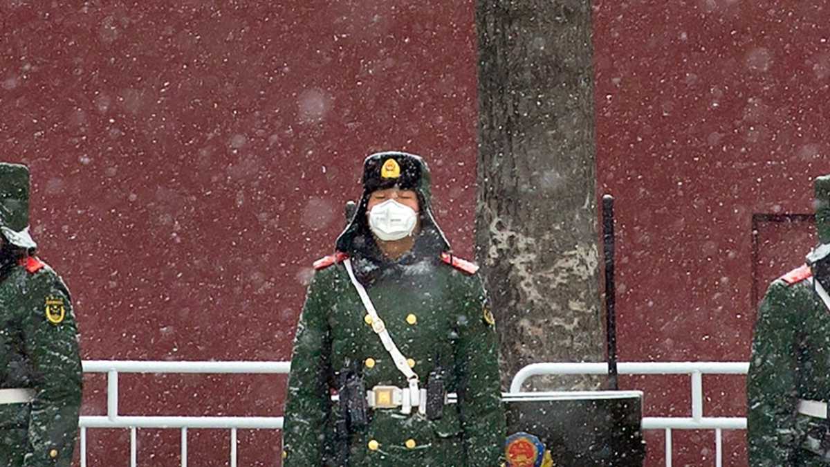 Immagine di Il virus dei misteri