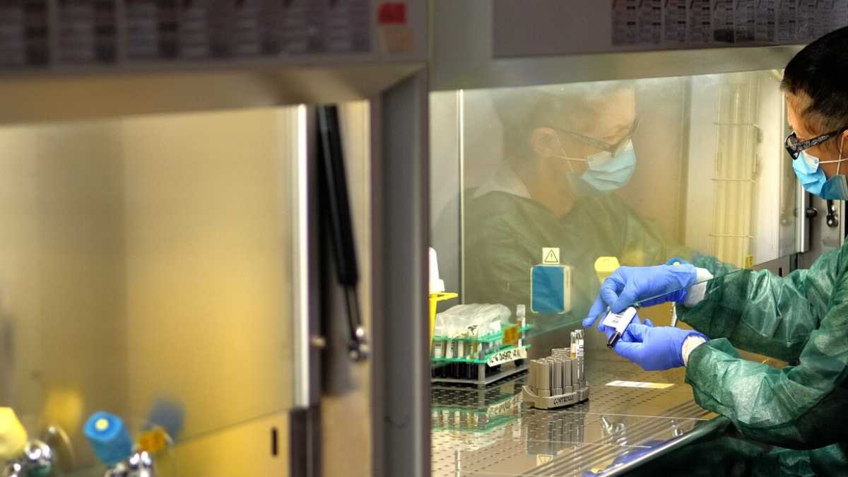 Immagine di Un passo avanti per mappare i contagi. Ecco il test da 2 cent a paziente