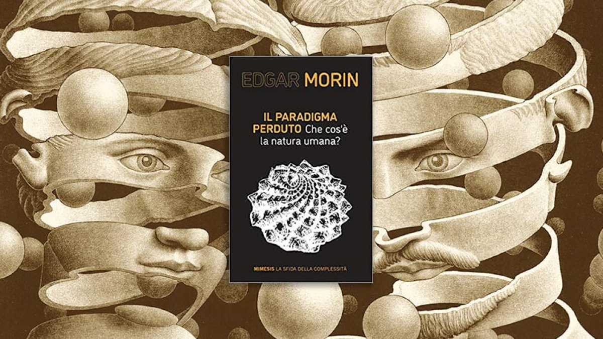 Immagine di Il paradigma perduto