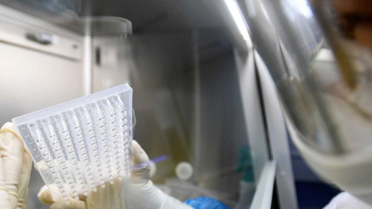 Immagine di L’assalto al laboratorio di Wuhan è molta teoria e pochi fatti