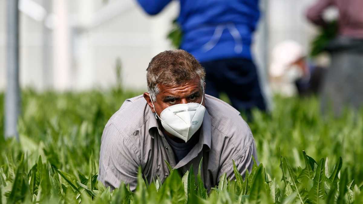 Immagine di Siamo uomini o gerarchi minori?