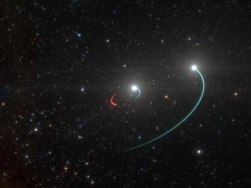 Così le stelle ci spiegano cos'è un affetto stabile
