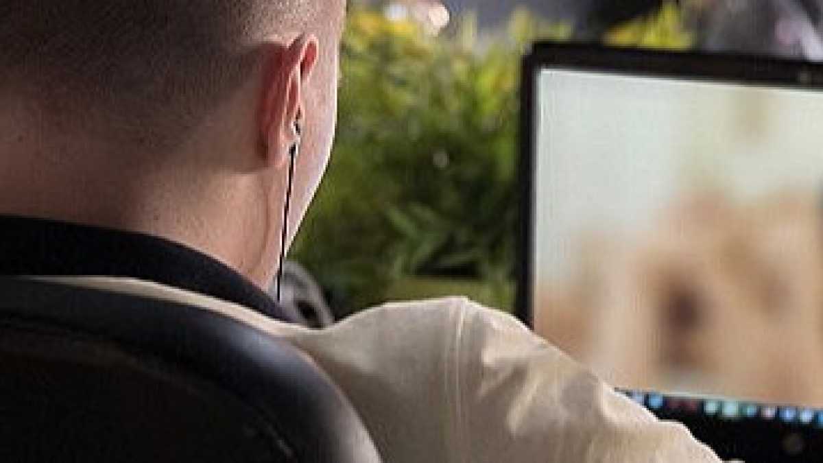 Immagine di Il cyber crime guarda al porno