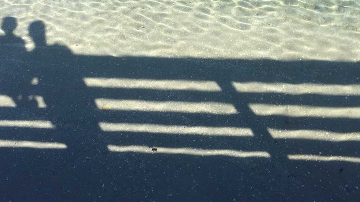 Immagine di I colpevoli