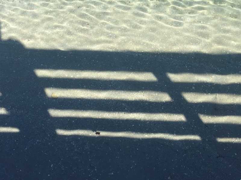 (foto Unsplash)