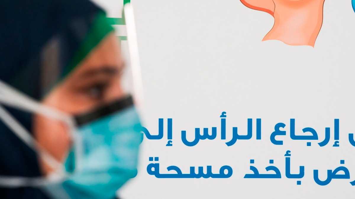 Immagine di Ingerenze arabe