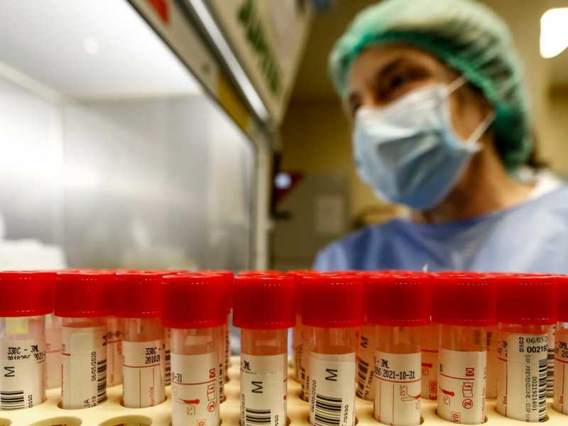 Roma: laboratorio di analisi dei tamponi all'Ospedale San Filippo Neri (Foto Cecilia Fabiano/ LaPresse)