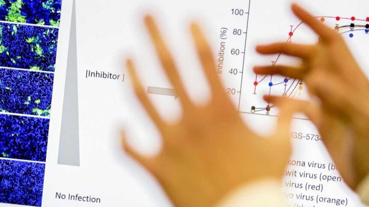 Immagine di Il virus e i numeri. Previsioni possibili