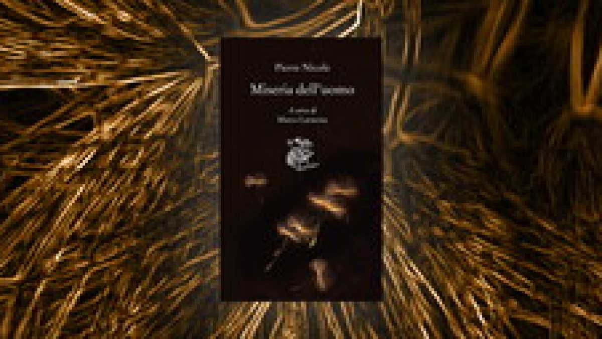 Immagine di Miseria dell’uomo