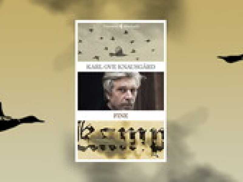 Fine
