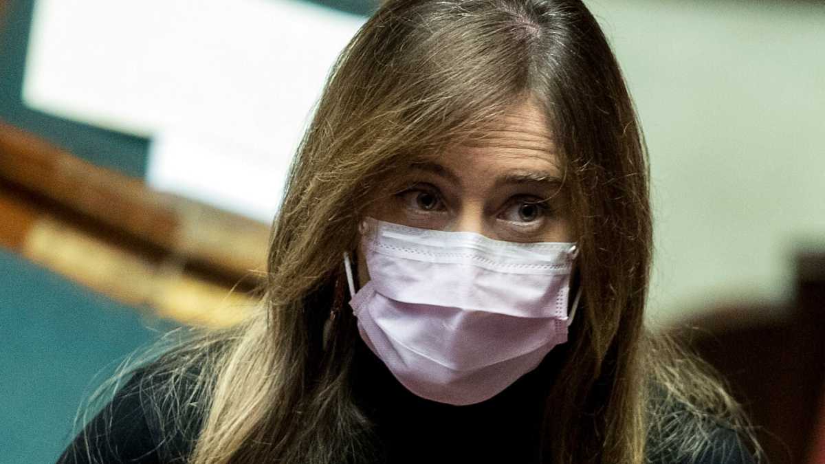 Immagine di Boschi per Conte