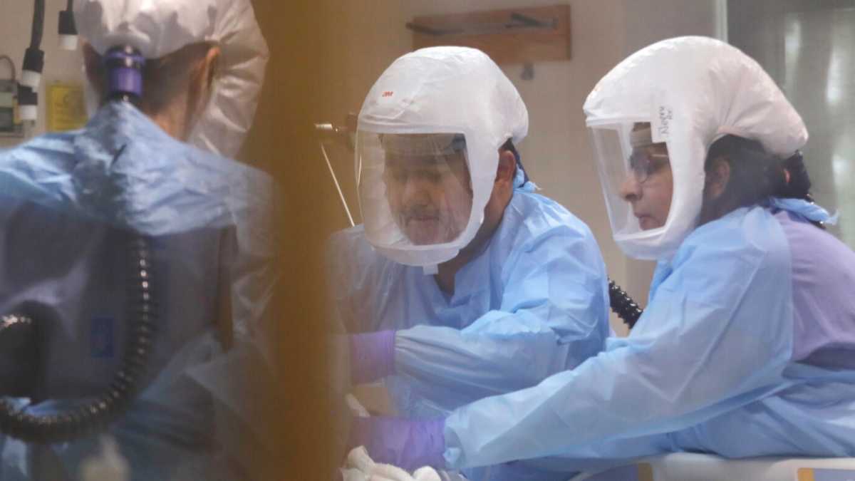 Immagine di Non siate folli