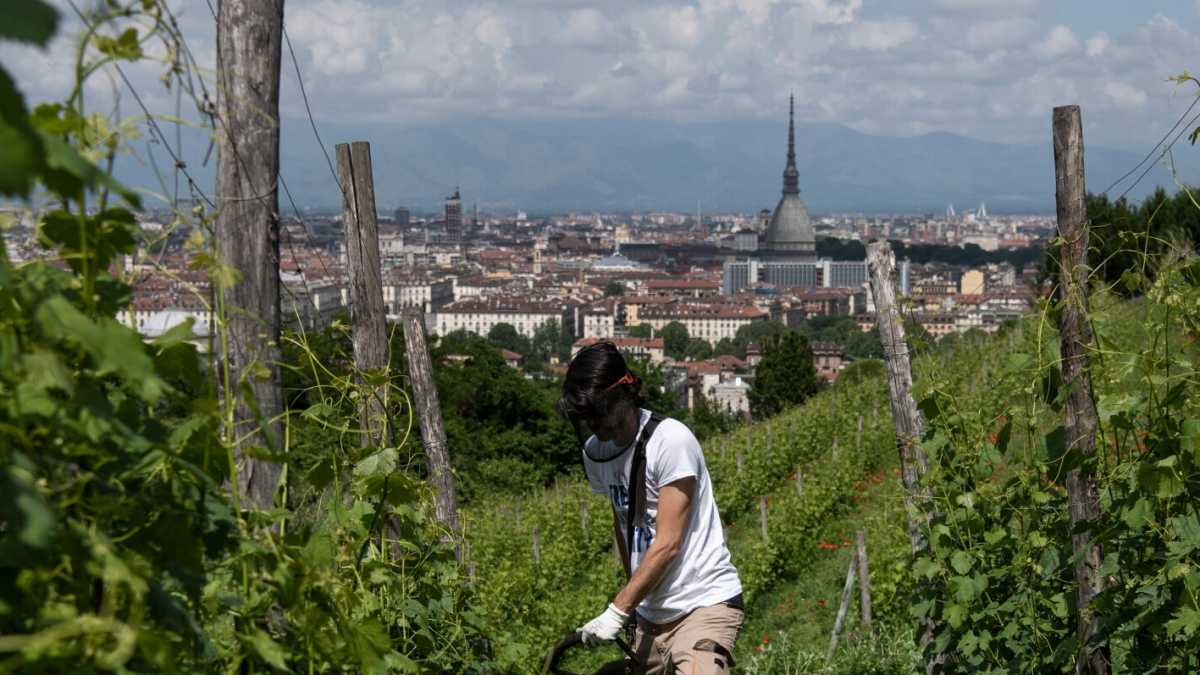 Immagine di In Italia una città su dieci è sull'orlo del fallimento
