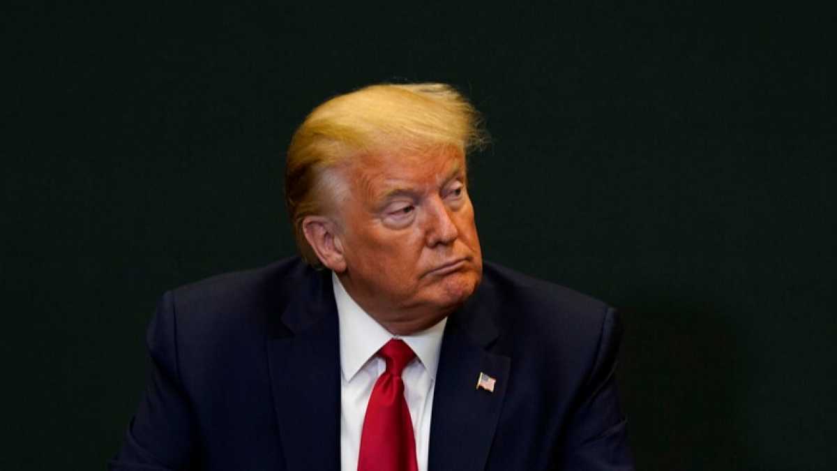 Immagine di Gli anticorpi per Trump