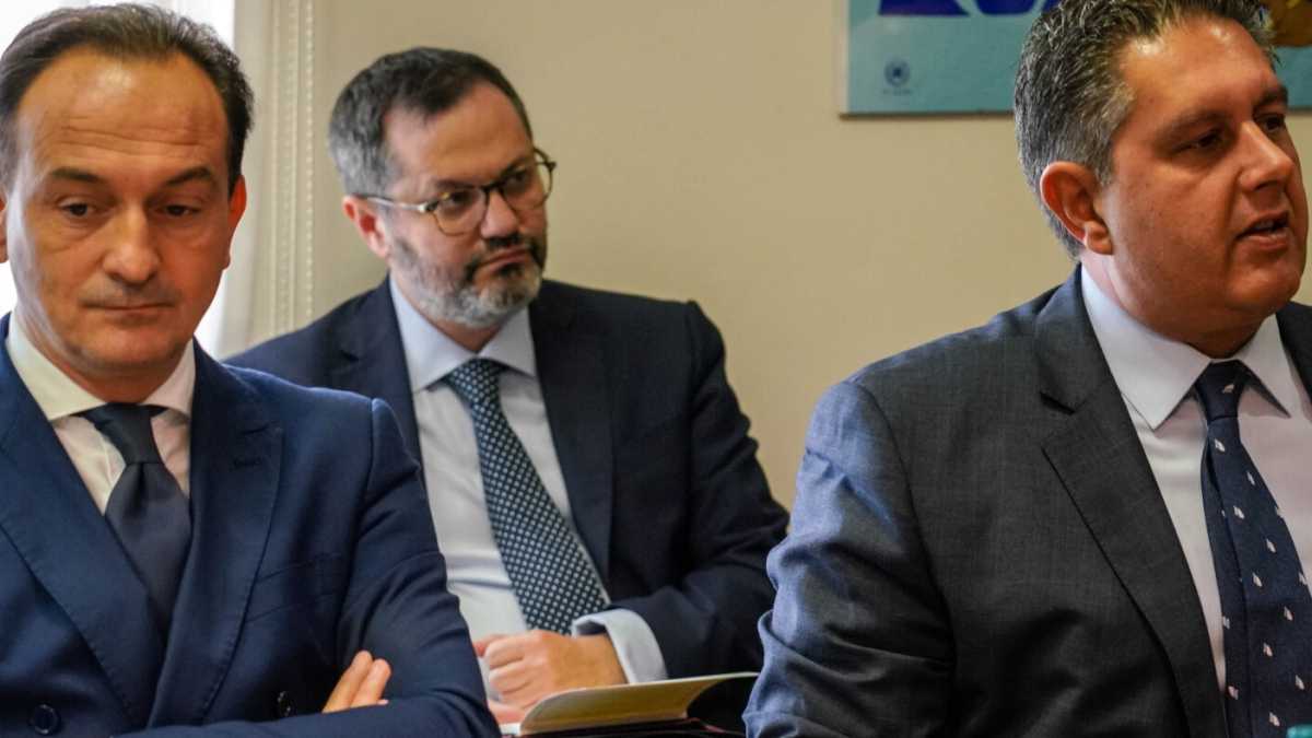 Immagine di Ora dateci il Mes. La rivolta gentile delle regioni di centrodestra